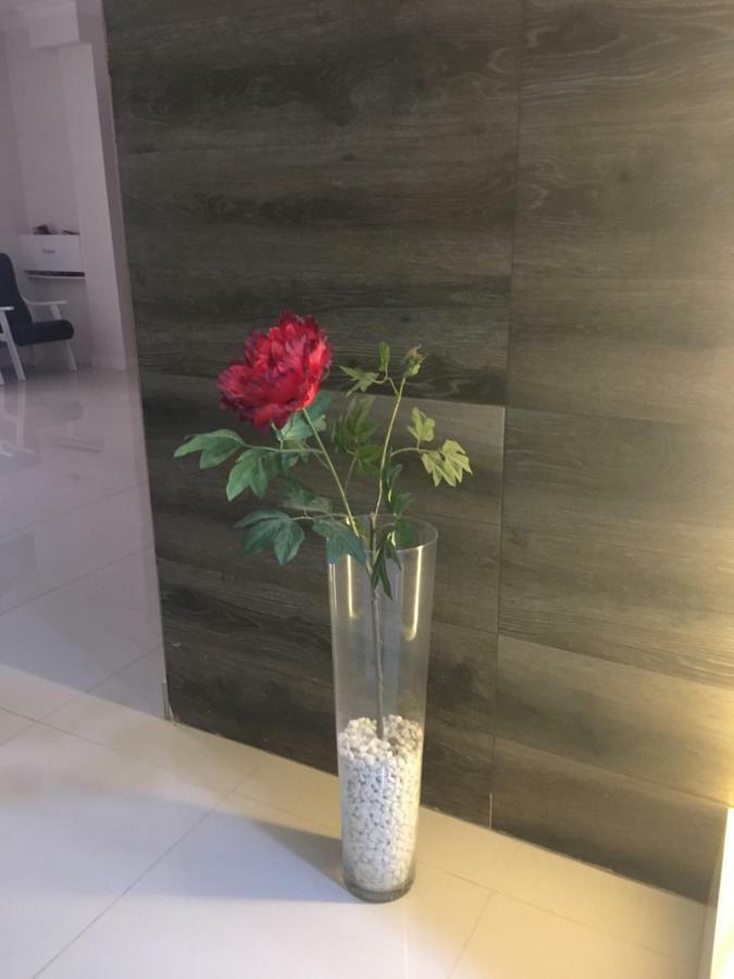 Apartmán La Perla Puerto de la Cruz  Exteriér fotografie